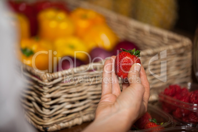 Hand of female staff holding strawberry