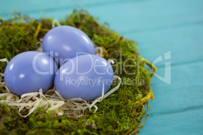 Violet Easter eggs in the nest