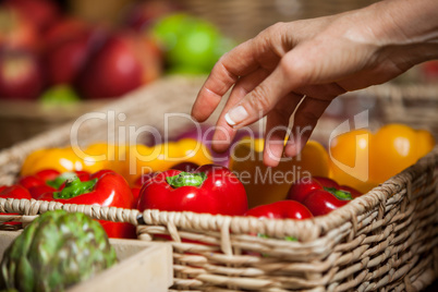 Hand of female costumer holding bell pepper in organic section
