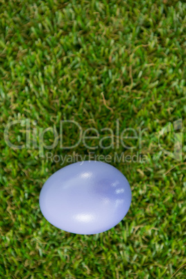 Violet Easter egg on grass