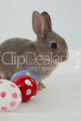 Colorful Easter eggs and Easter bunny