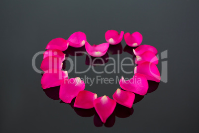 Rose petals forming heart shape against black background