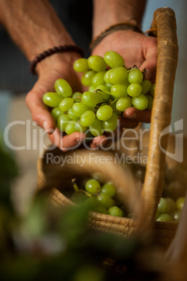 Hand of male staff grapes in organic section