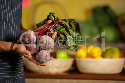 Mid section of male staff holding turnip in organic section