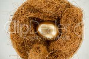 Golden egg in nest against white background