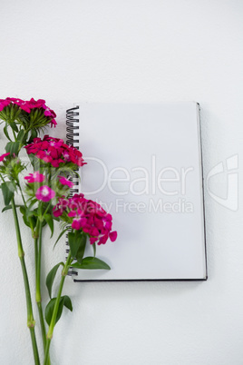 Pink flowers with spiral book