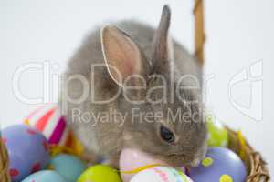 Basket with Easter eggs and Easter bunny