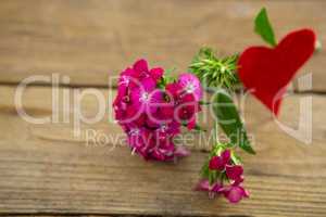 Bunch of pink flowers on wooden plank