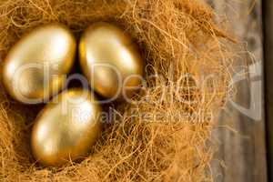 Golden Easter eggs in the nest