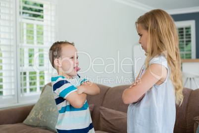 Brother teasing his sister while standing with arms crossed
