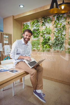 Portrait male business executive sitting on desk and using laptop