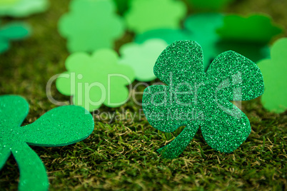 St Patricks Day shamrocks on grass