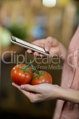 Woman using smartphone while holding tomatoes