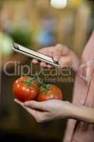 Woman using smartphone while holding tomatoes