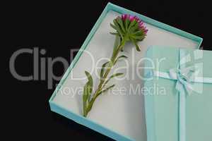 Opened gift box with a flower