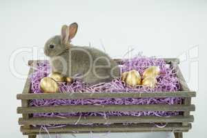 Golden Easter eggs with Easter bunny in crate