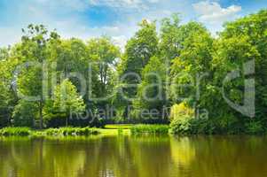 picturesque lake, summer forest on the banks and sky