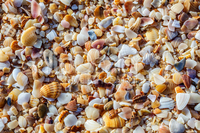 Sea pebbles closeup