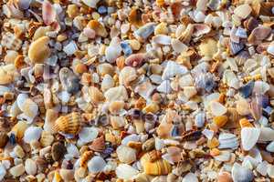 Sea pebbles closeup