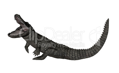 Crocodile roaring up - 3D render