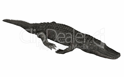 Crocodile relaxing - 3D render