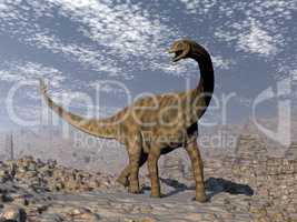 Spinophorosaurus dinosaur walking in the desert - 3D render