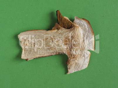 dried porcini mushroom food