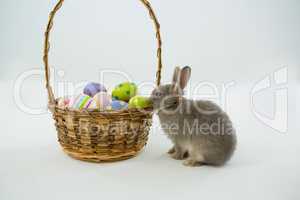 Basket with Easter eggs and Easter bunny