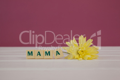 Yellow flowers next to blocks displaying mama message
