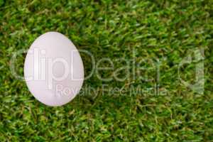 White Easter egg on grass