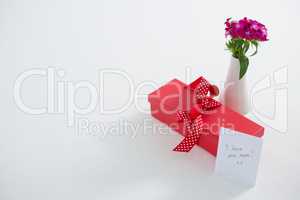 Gift box and flower vase on white background