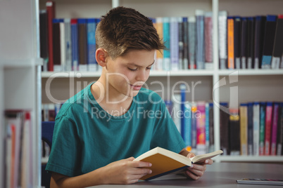Schoolboy reading book in library