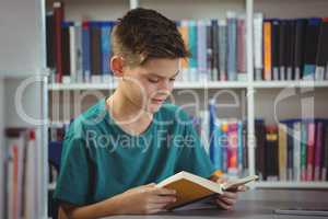 Schoolboy reading book in library