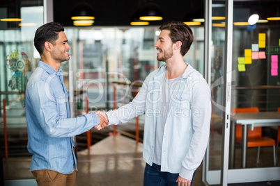 Two colleagues shaking hands in office