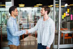 Two colleagues shaking hands in office