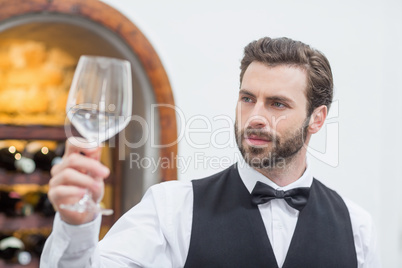 Male waiter holding wine glass in the restaurant