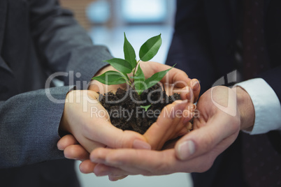 Businesspeople hand holding plant together in corridor