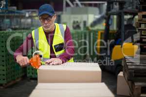 Factory worker sealing cardboard boxes