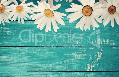 large white daisies on a  wooden surface