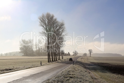 Frosty morning