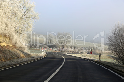 Frosty morning