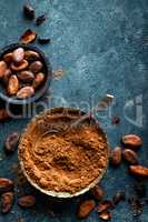 Cocoa powder and cacao beans on dark background, top view