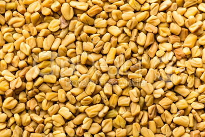 Fenugreek seeds background, spice, culinary ingredient