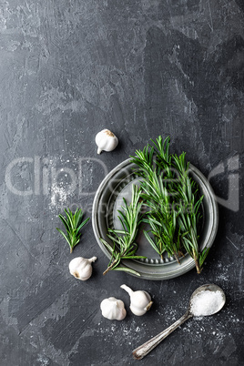 Rosemary, garlic, salt and white pepper, culinary background with various spices, directly above, flat lay, copy space