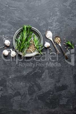 Rosemary, garlic, salt and white pepper, culinary background with various spices, directly above, flat lay, copy space