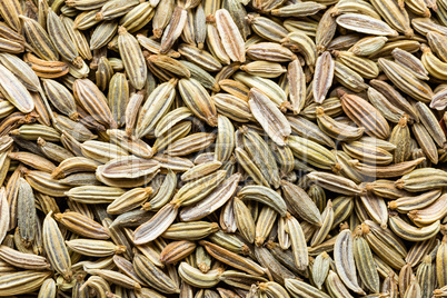 Fennel seeds background