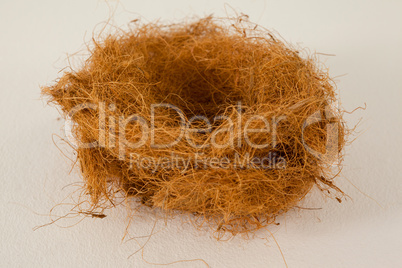 Empty nest against white background