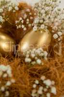 Golden easter eggs in nest