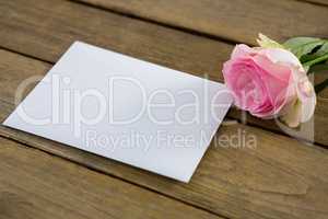 Pink rose with envelope