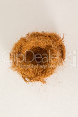 Empty nest against white background